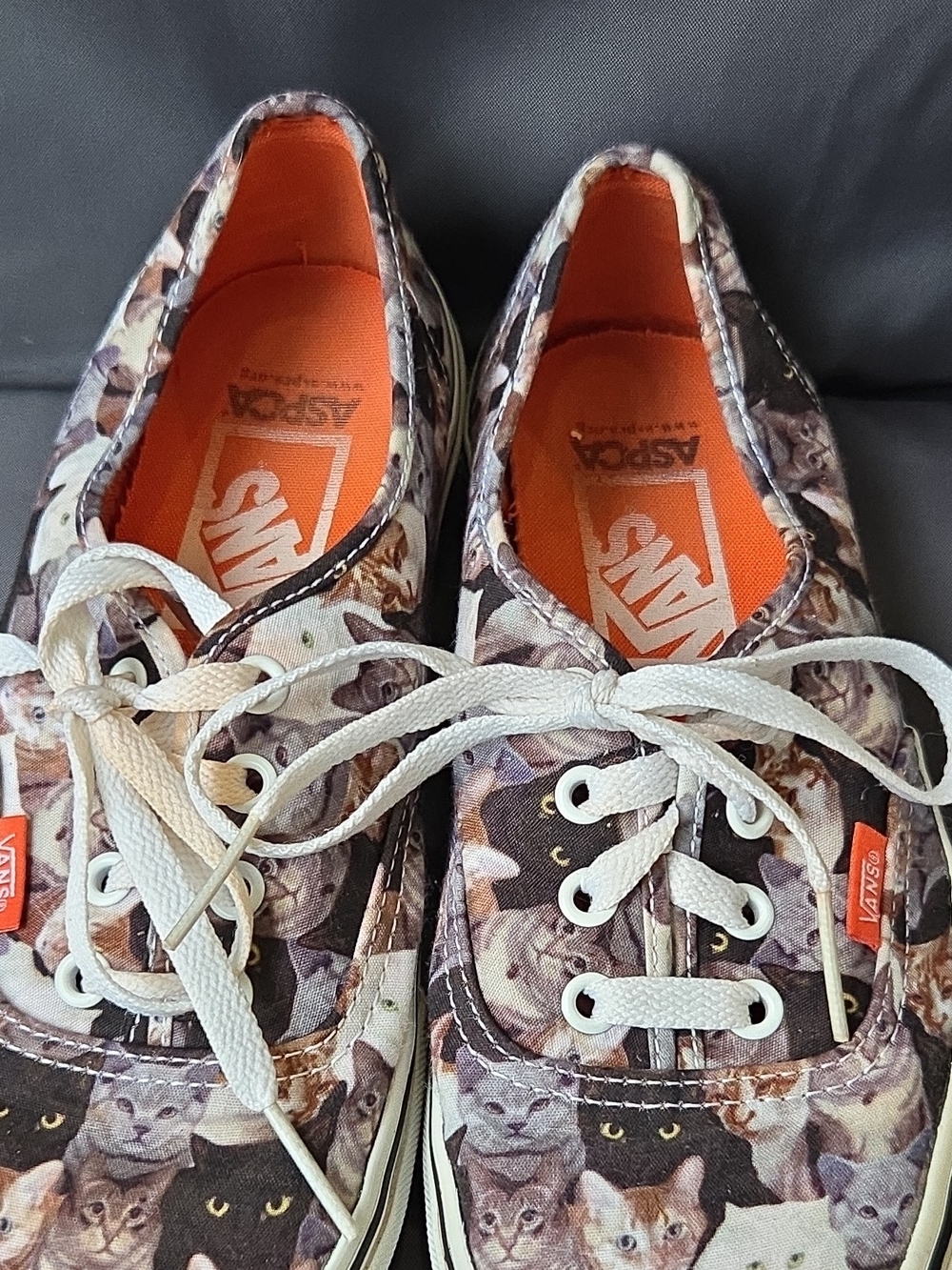 Vans Authentic Cat Print Canvas Sneakers - Brown/Orange W 7.5 M 6